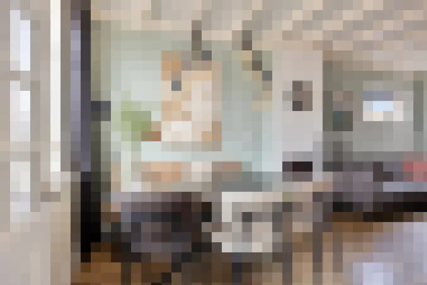 Graafseweg 7 Boxmeer thumbnail 8