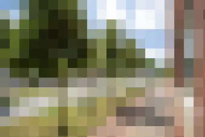 Graafseweg 8 's-Hertogenbosch thumbnail 16