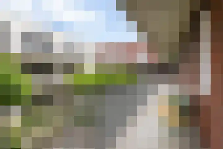 Graafseweg 8 's-Hertogenbosch thumbnail 27