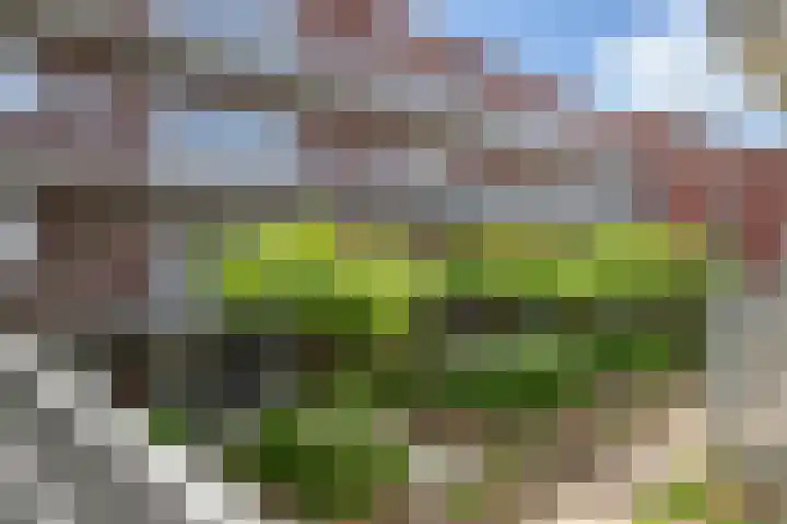 Graafseweg 8 's-Hertogenbosch thumbnail 28