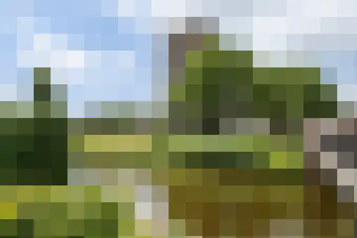 Graafseweg 8 's-Hertogenbosch thumbnail 32