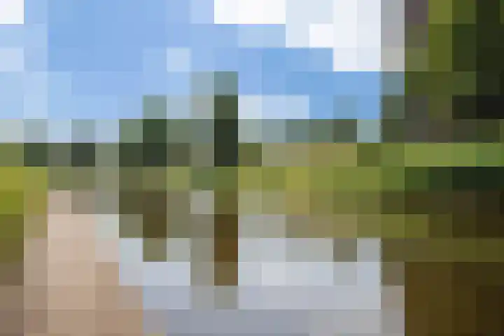 Graafseweg 8 's-Hertogenbosch thumbnail 33