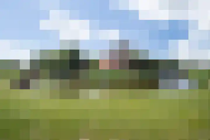 Graafseweg 8 's-Hertogenbosch thumbnail 34