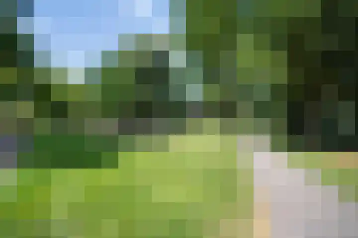 Graafseweg 8 's-Hertogenbosch thumbnail 35