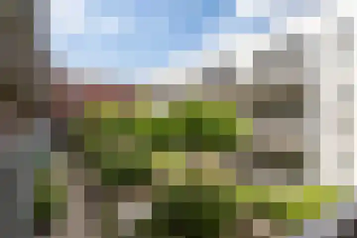 Graafseweg 8 's-Hertogenbosch thumbnail 6