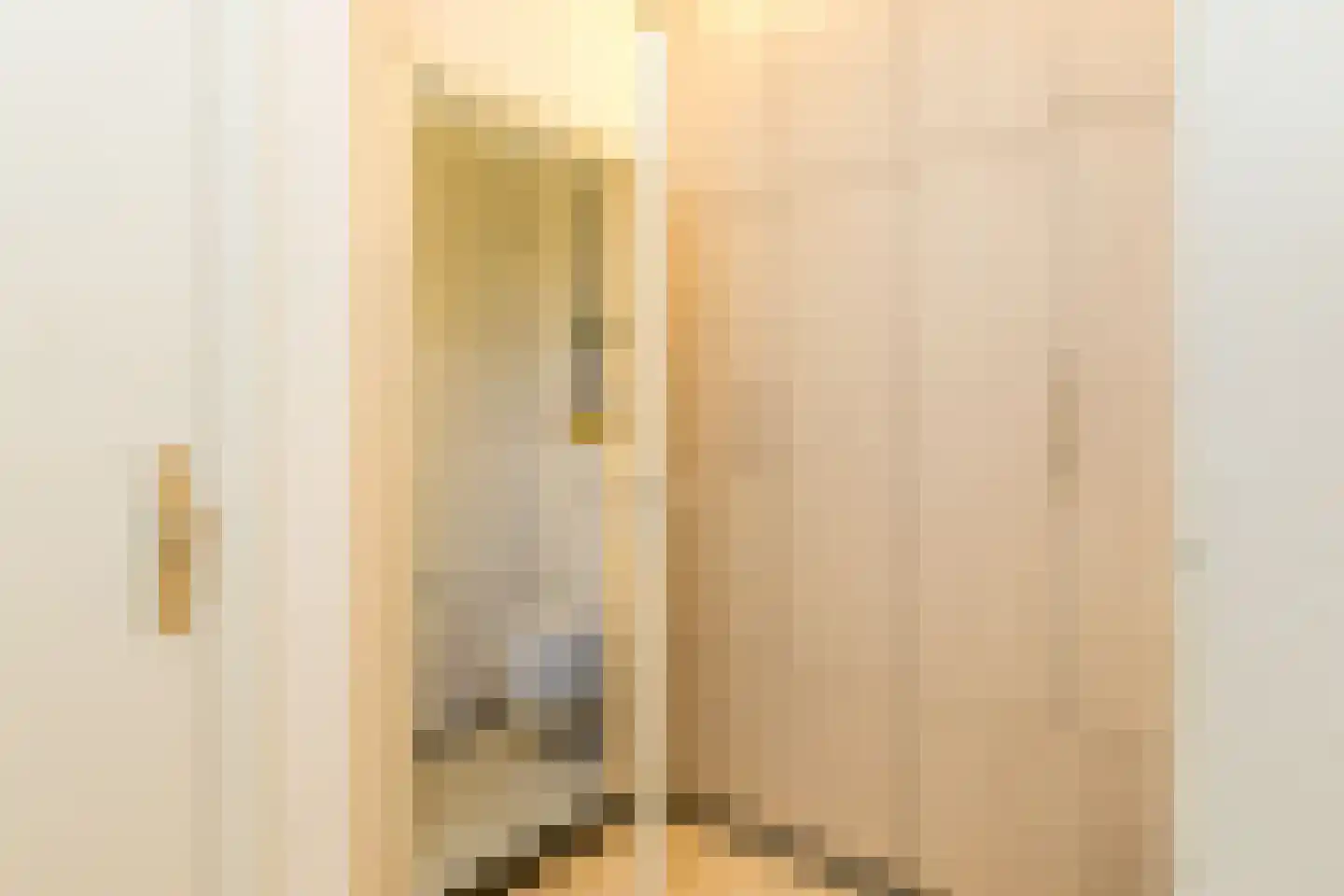 Graafstraat 1 Schin op Geul thumbnail 10
