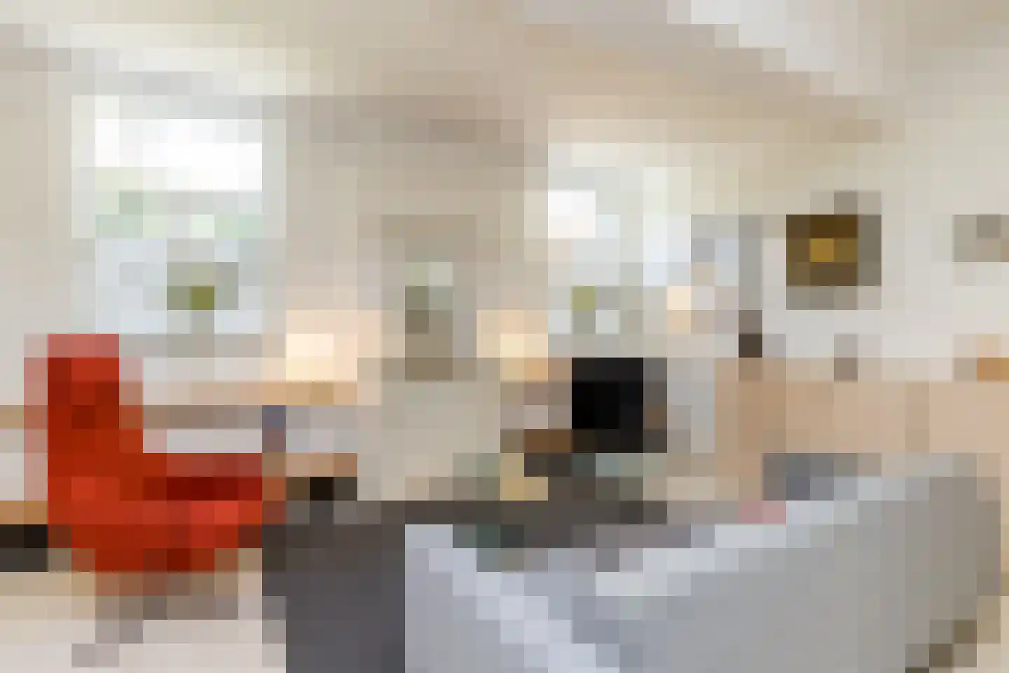 Graafstraat 1 Schin op Geul thumbnail 13