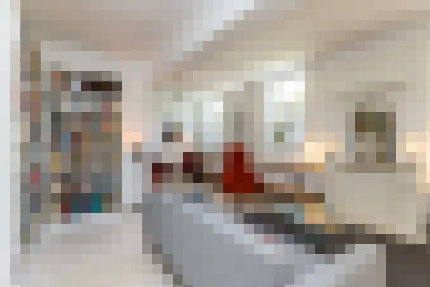 Graafstraat 1 Schin op Geul thumbnail 14