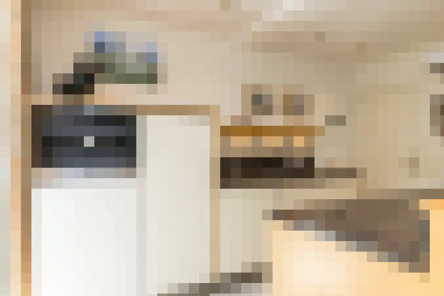 Graafstraat 1 Schin op Geul thumbnail 20