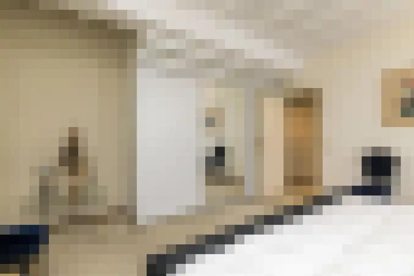 Graafstraat 1 Schin op Geul thumbnail 25
