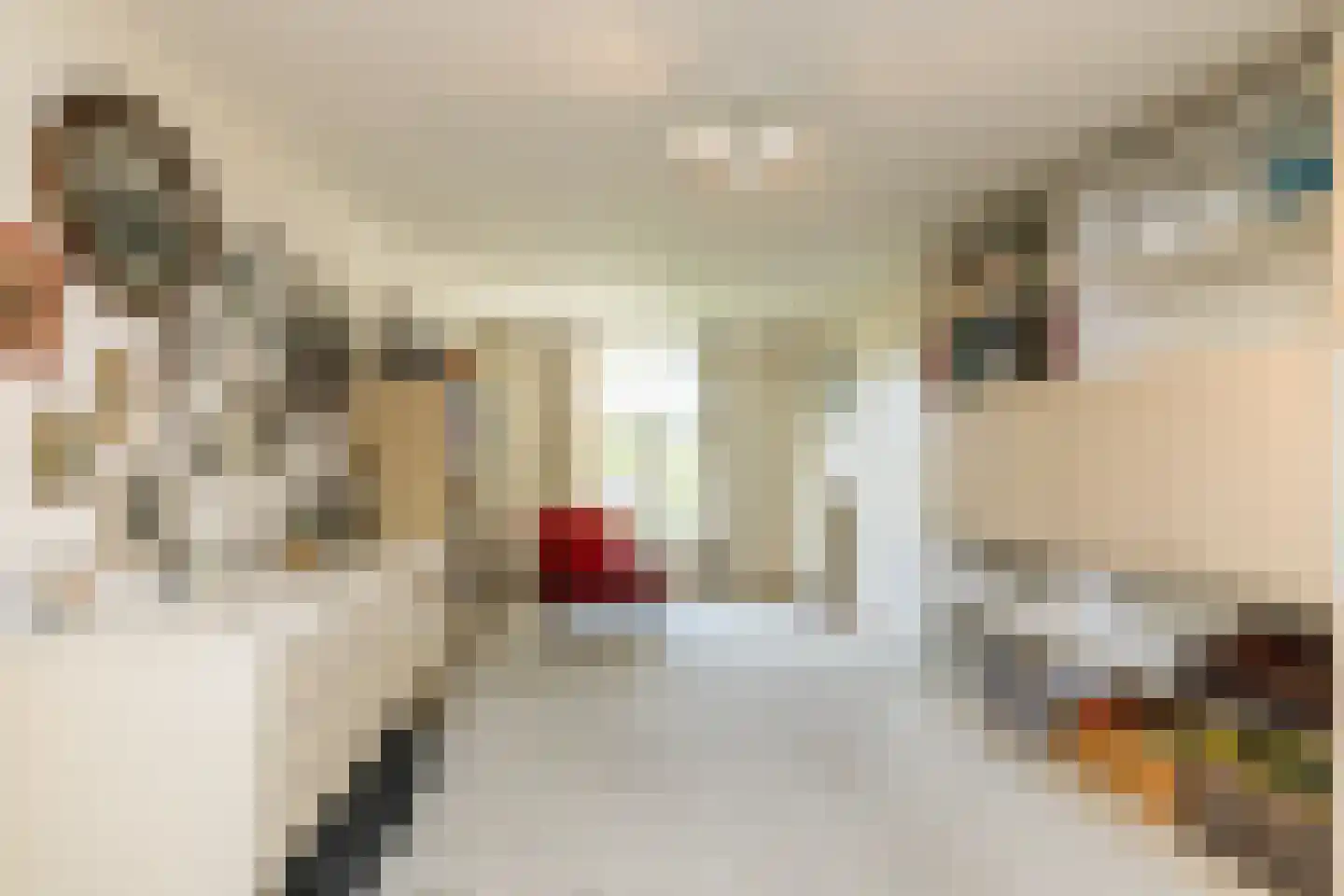 Graafstraat 1 Schin op Geul thumbnail 28