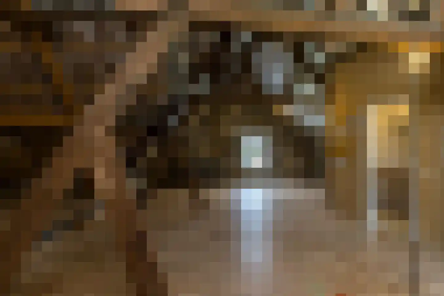Graafstraat 1 Schin op Geul thumbnail 32