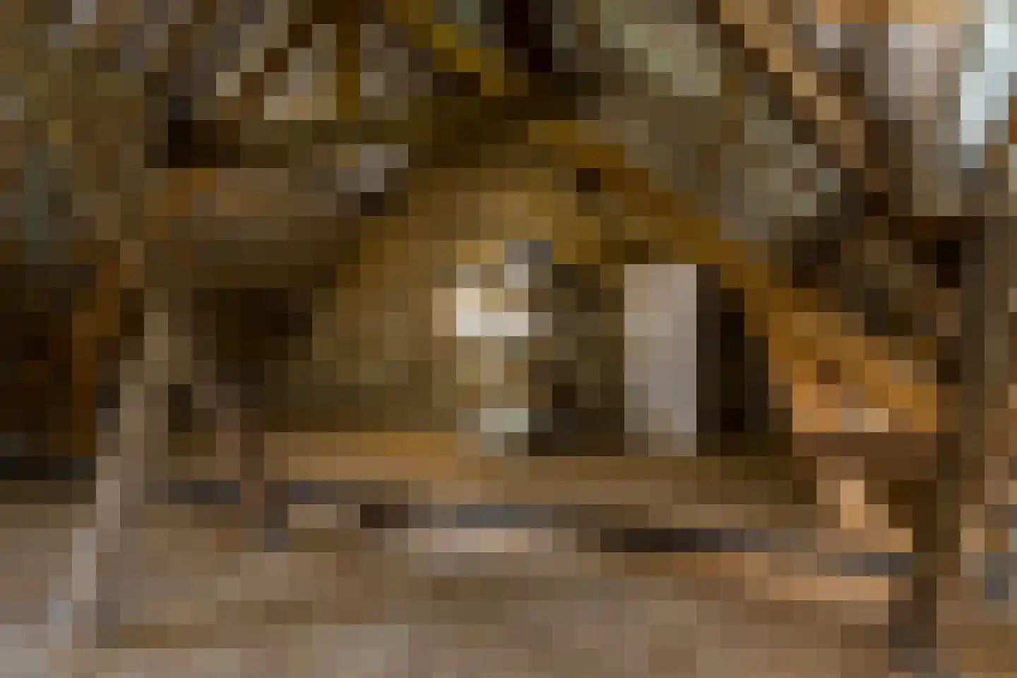 Graafstraat 1 Schin op Geul thumbnail 33
