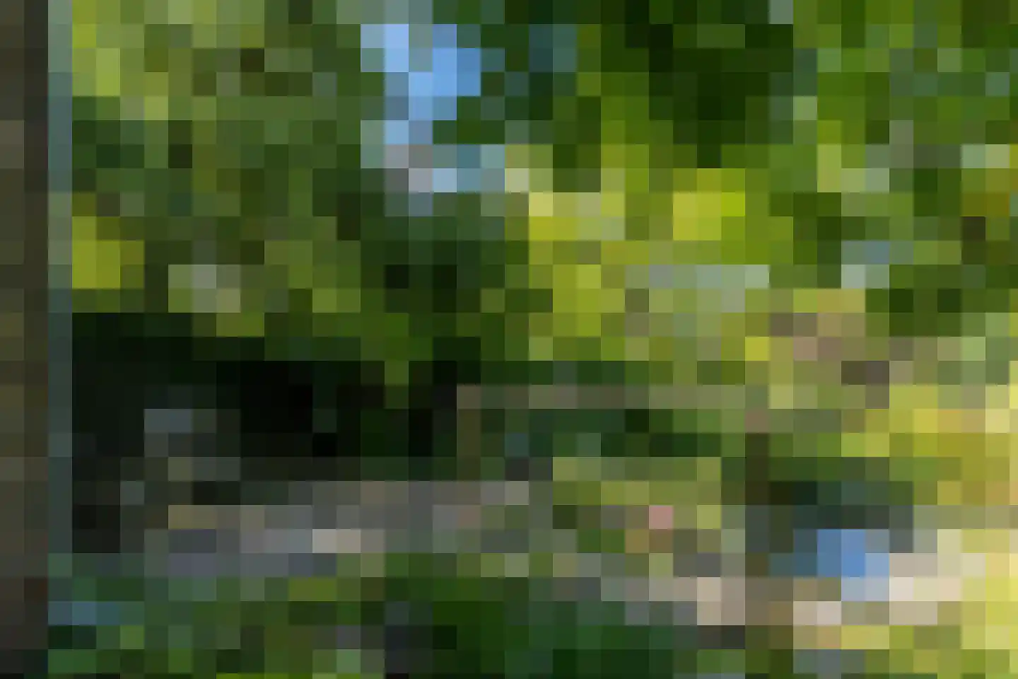 Graafstraat 1 Schin op Geul thumbnail 37