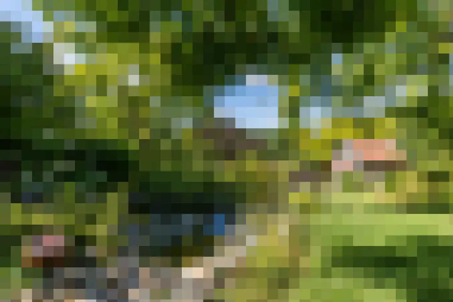 Graafstraat 1 Schin op Geul thumbnail 38