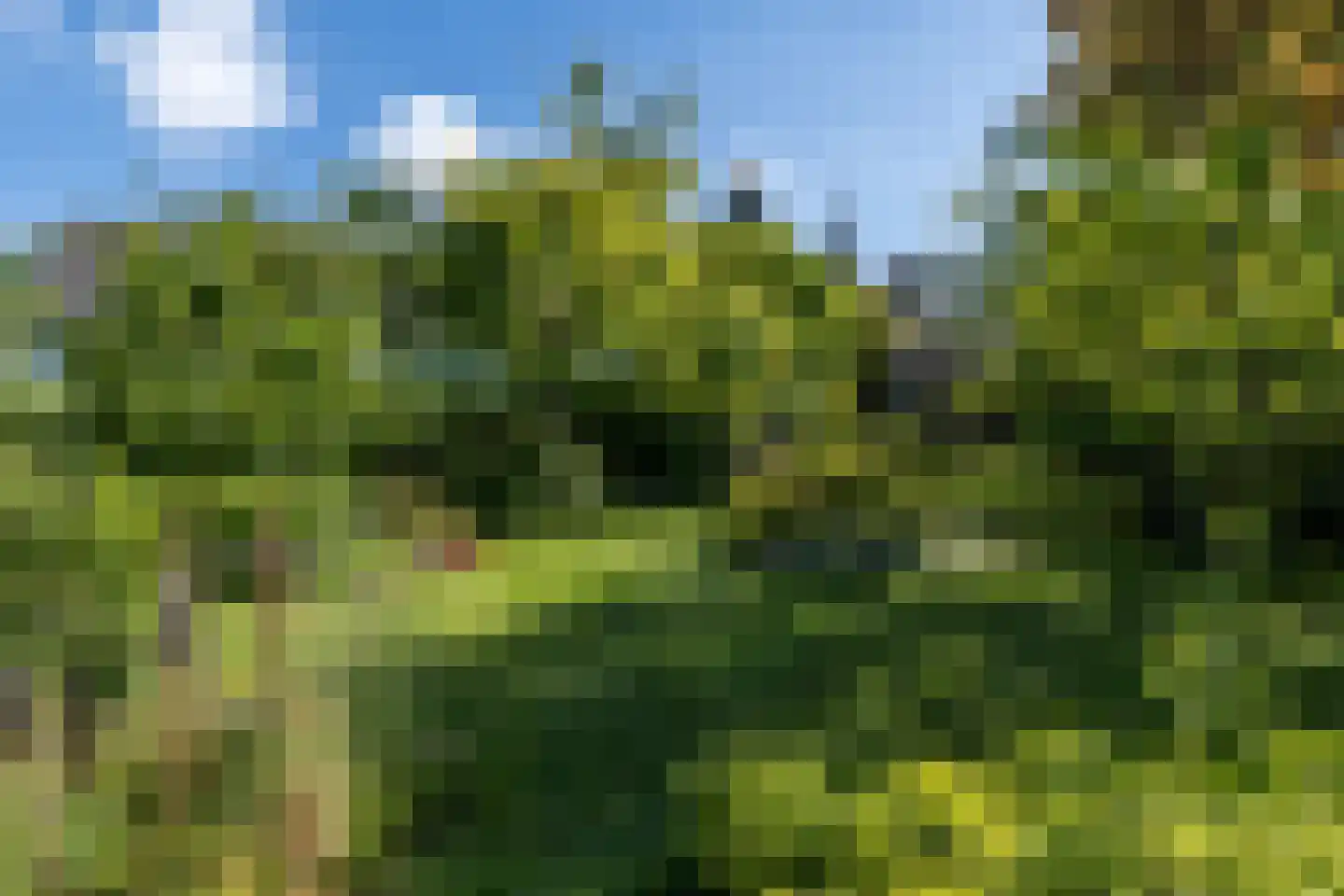 Graafstraat 1 Schin op Geul thumbnail 39