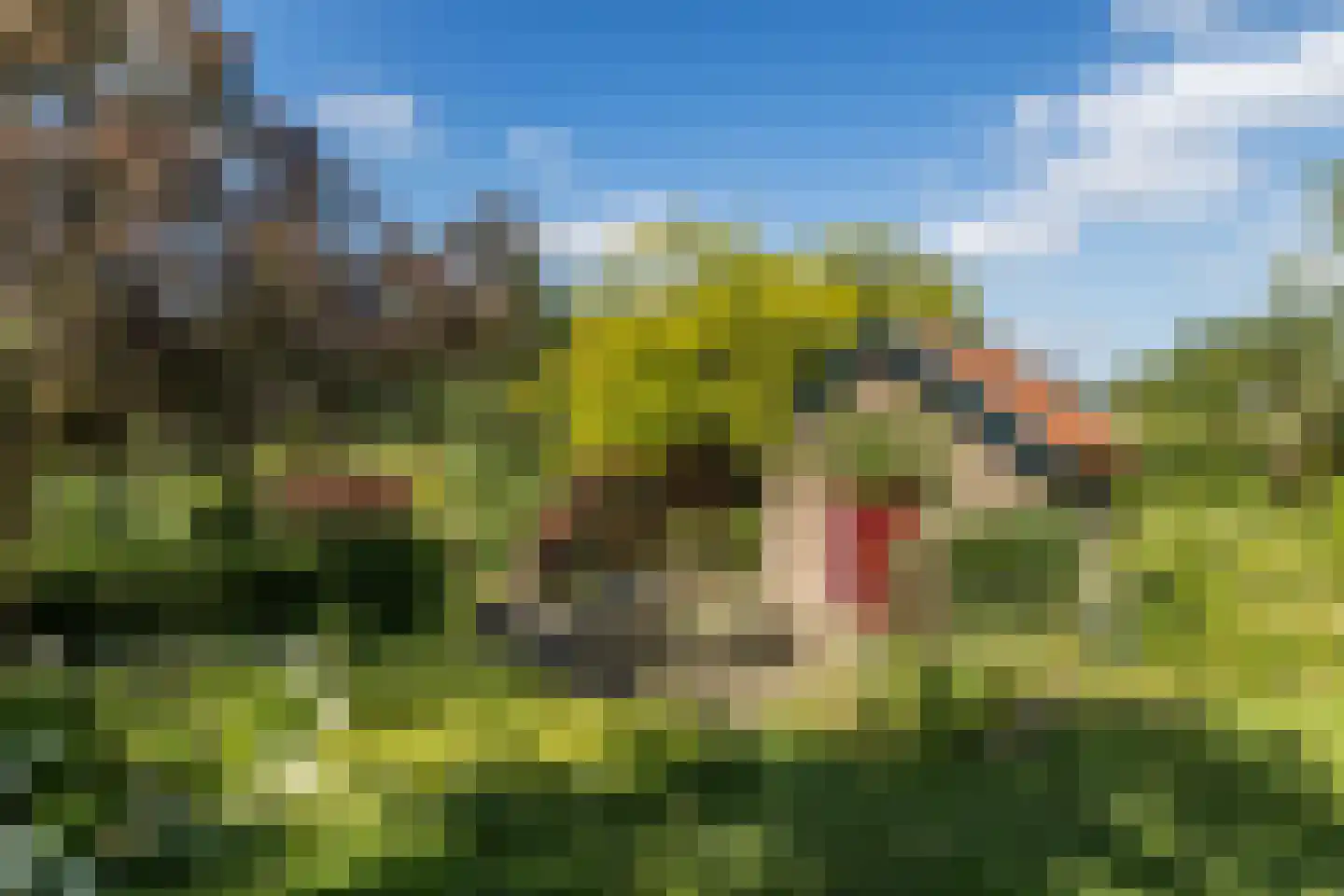 Graafstraat 1 Schin op Geul thumbnail 40