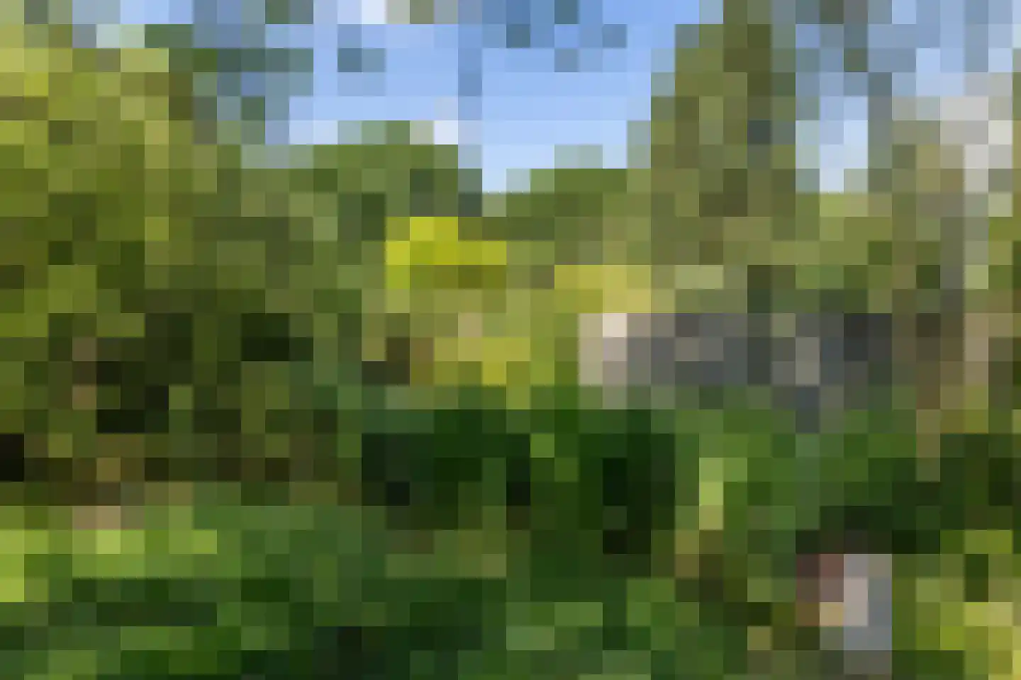 Graafstraat 1 Schin op Geul thumbnail 44