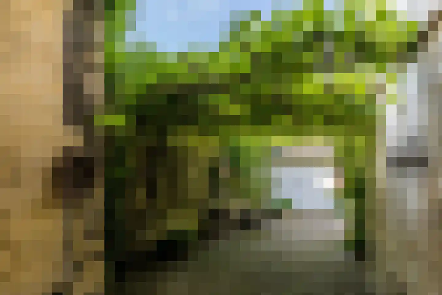 Graafstraat 1 Schin op Geul thumbnail 7