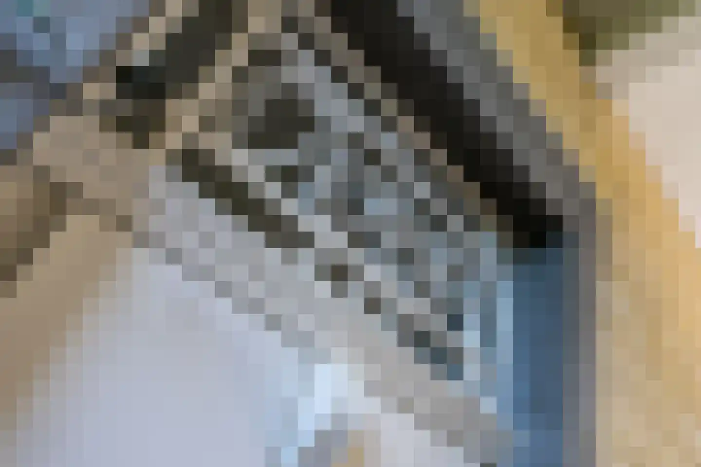 Graafstraat 1 Schin op Geul thumbnail 8