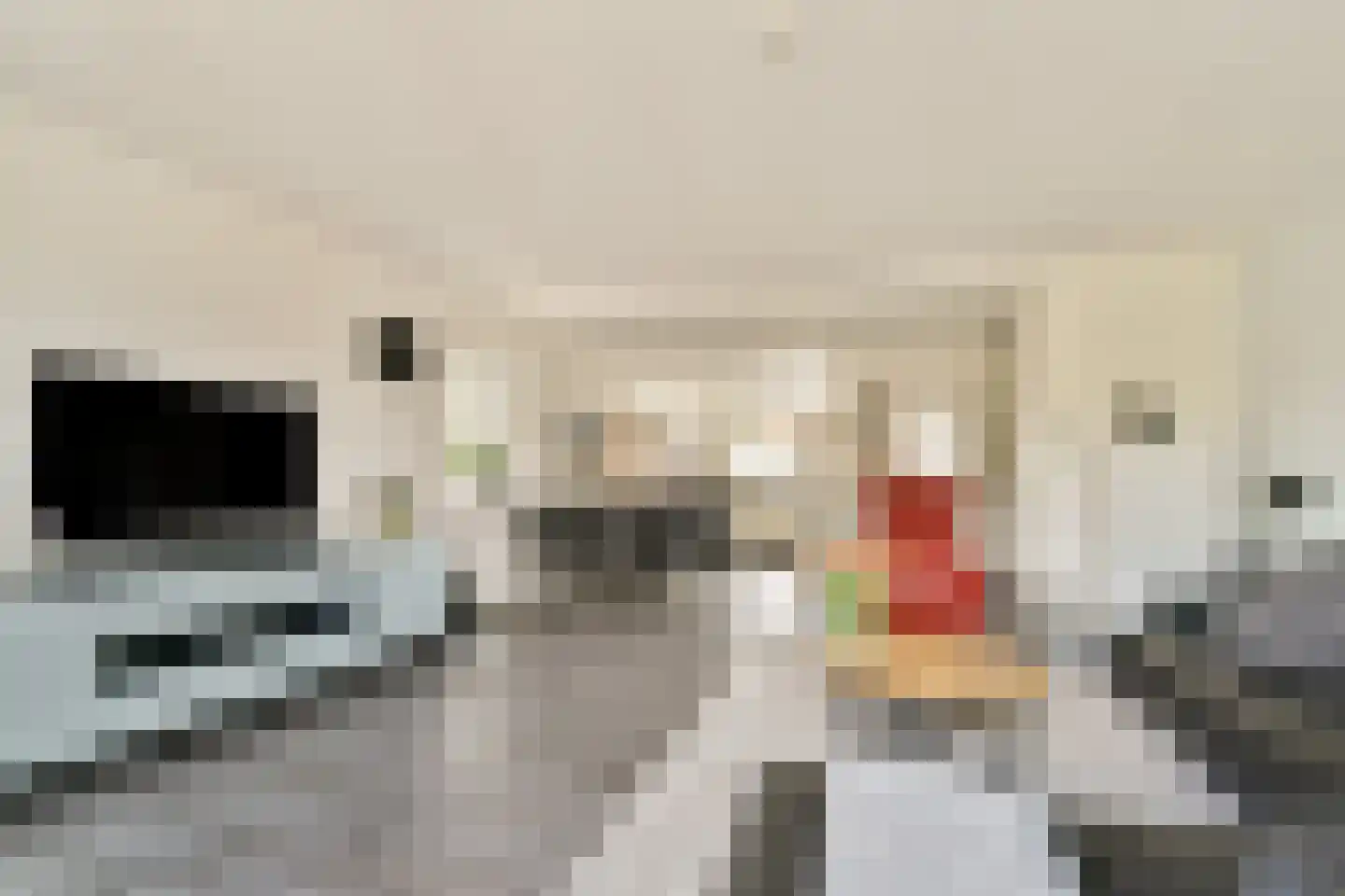 Graafvoorde 19 Spijkenisse thumbnail 10