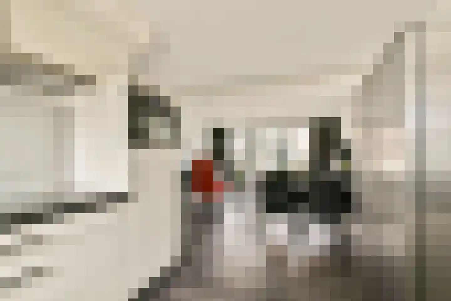Graafvoorde 19 Spijkenisse thumbnail 12