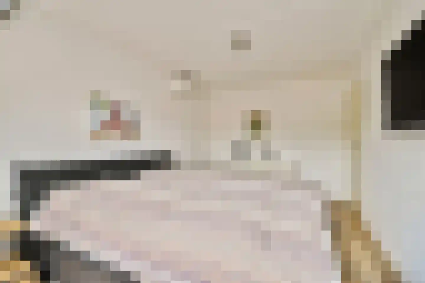Graafvoorde 19 Spijkenisse thumbnail 15