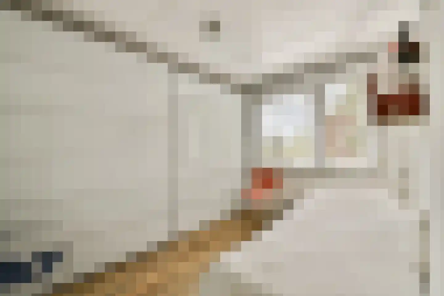 Graafvoorde 19 Spijkenisse thumbnail 17