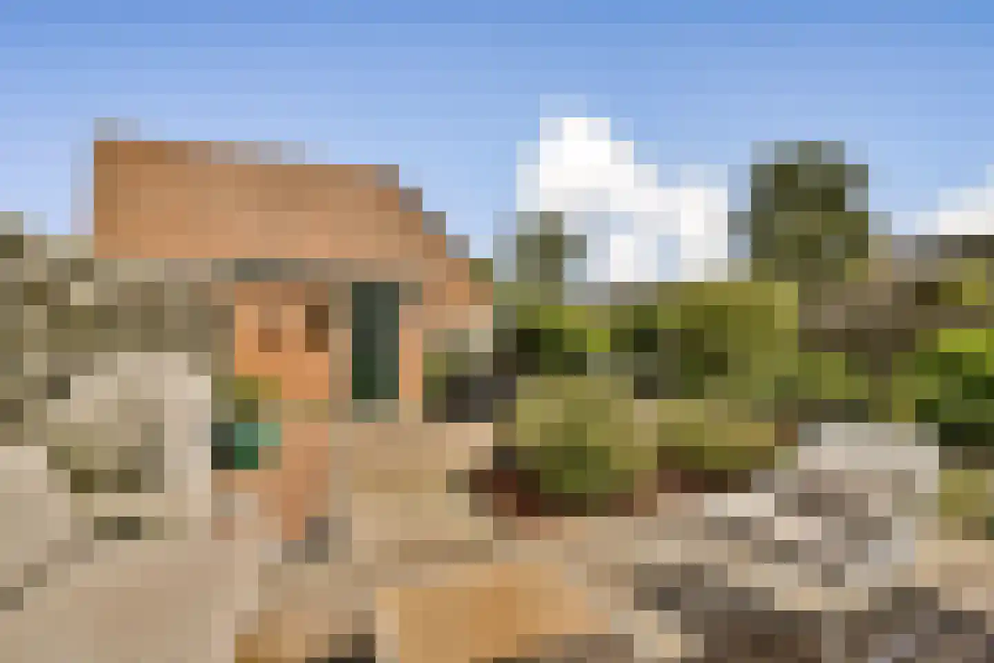 Graafvoorde 19 Spijkenisse thumbnail 23