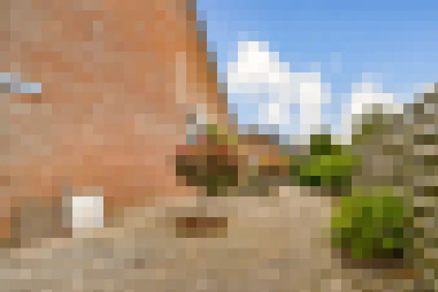 Graafvoorde 19 Spijkenisse thumbnail 26