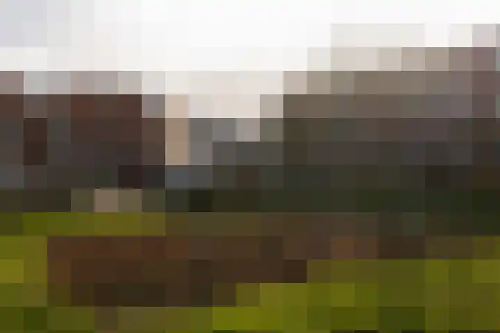 Graafwijkstraat 32 Beverwijk thumbnail 23