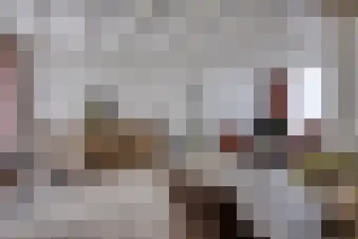Graaienhil 26 Wouw thumbnail 10