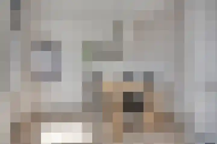 Graaienhil 26 Wouw thumbnail 13