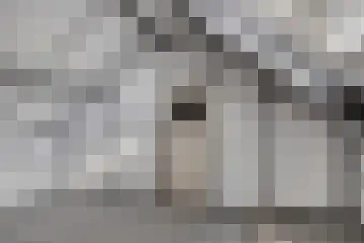 Graaienhil 26 Wouw thumbnail 23