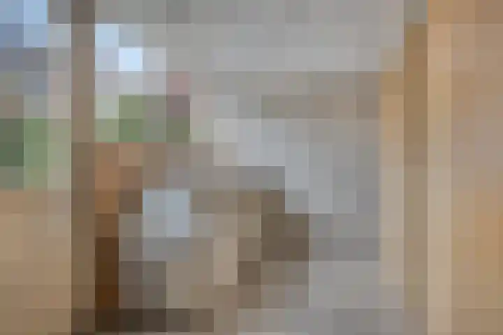 Graaienhil 26 Wouw thumbnail 24
