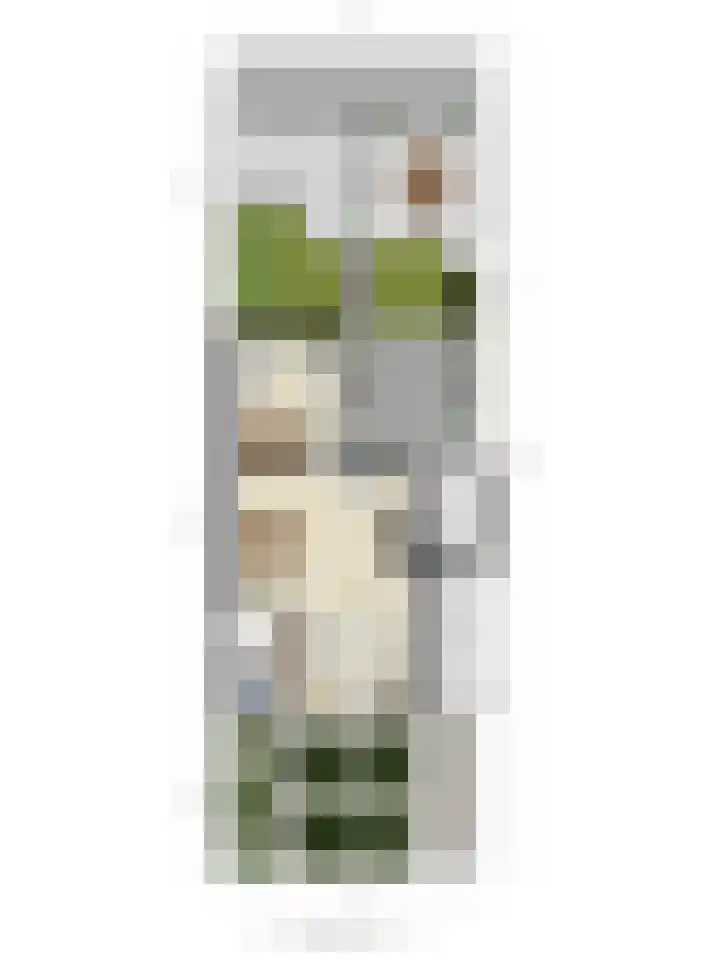Graaienhil 26 Wouw thumbnail 35