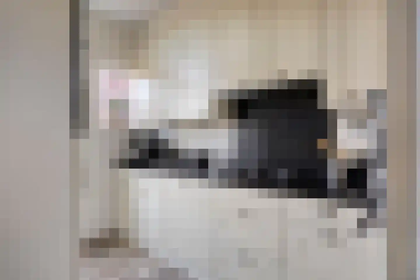 Graaienhil 32 Wouw thumbnail 6