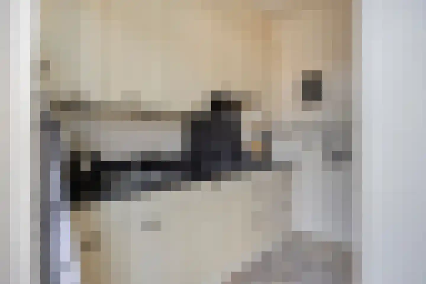Graaienhil 32 Wouw thumbnail 7