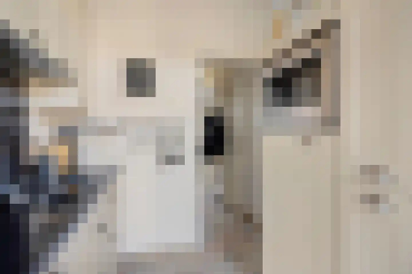 Graaienhil 32 Wouw thumbnail 8