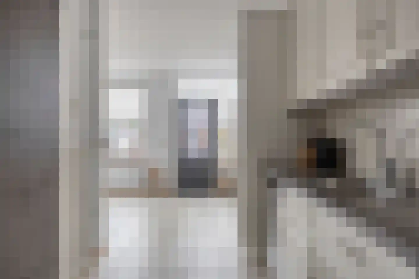 Graaienhil 48 Wouw thumbnail 13
