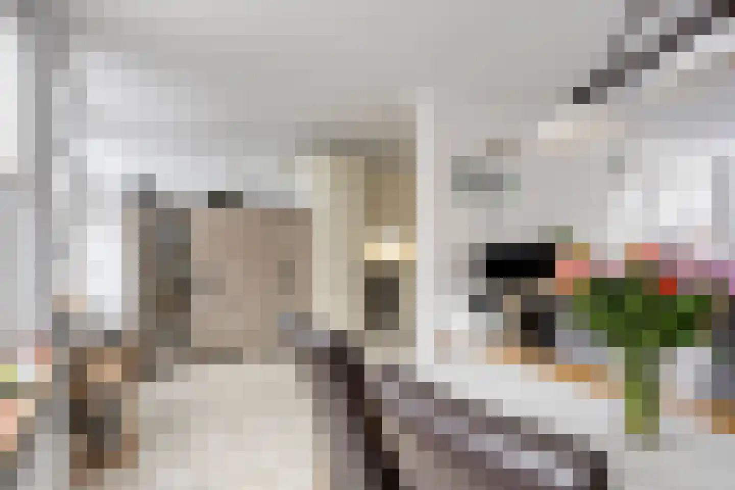Graaienhil 48 Wouw thumbnail 4