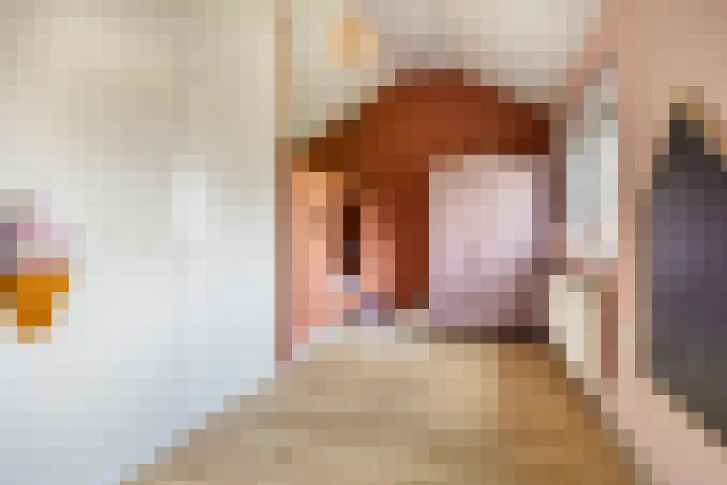 Graalakker 19 Rolde thumbnail 20