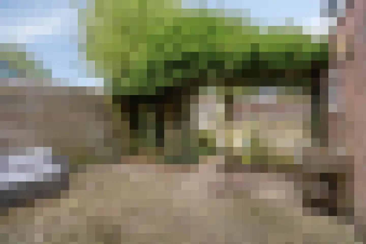 Graalakker 19 Rolde thumbnail 29