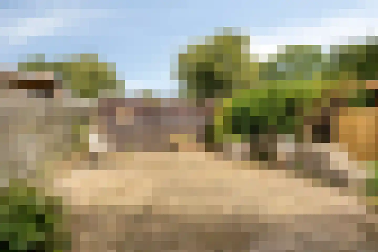 Graalakker 19 Rolde thumbnail 31