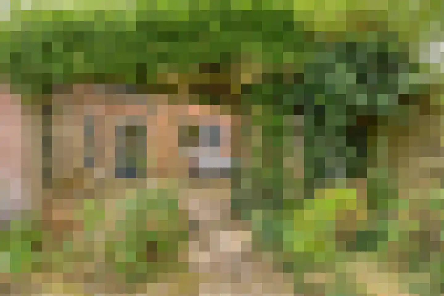 Graalakker 19 Rolde thumbnail 33