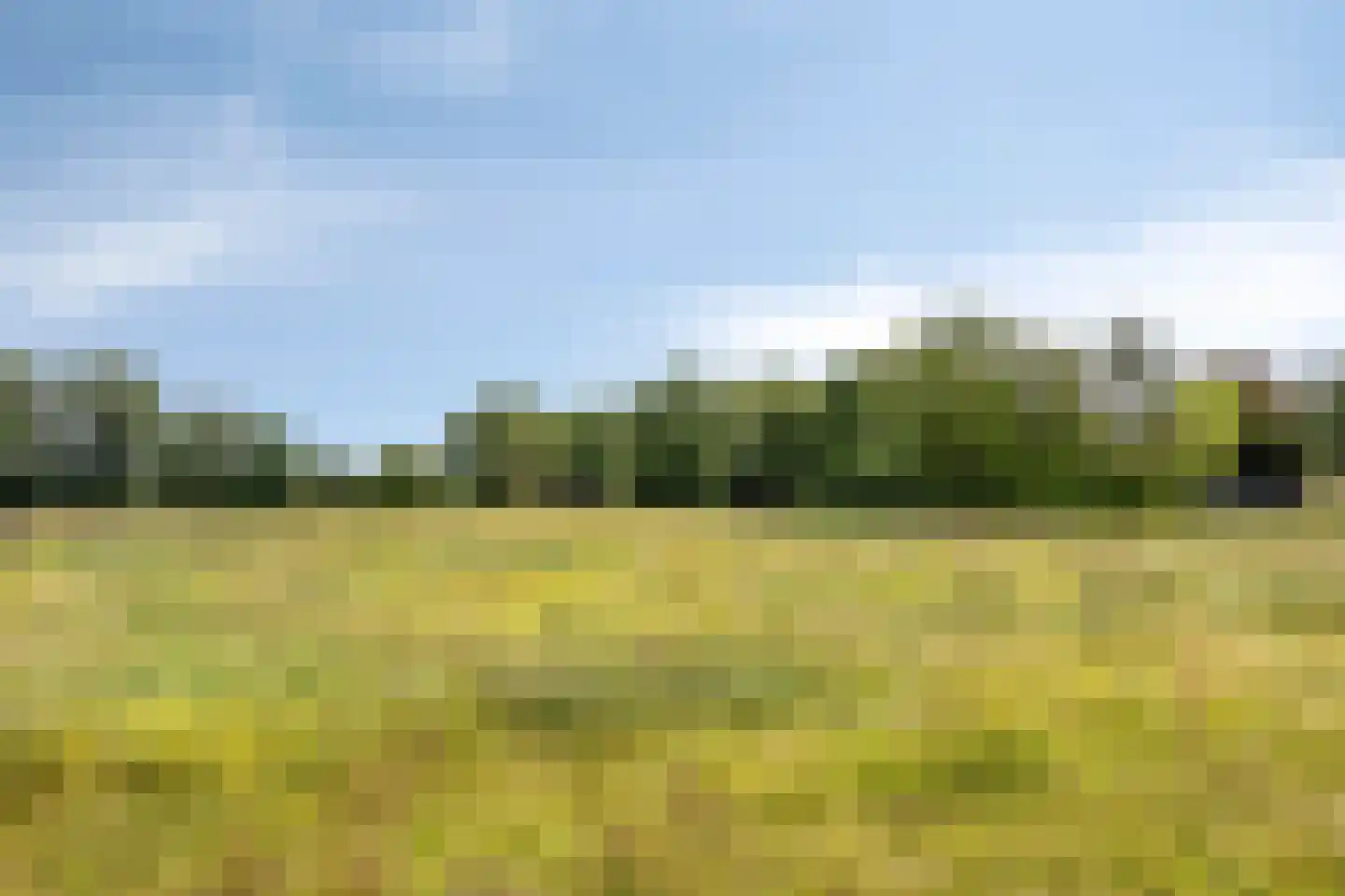 Graalakker 19 Rolde thumbnail 34