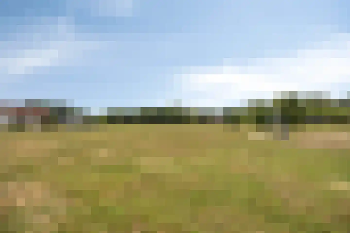 Graalakker 19 Rolde thumbnail 4