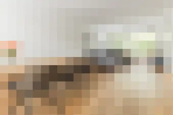 Graan voor Visch 14503 Hoofddorp thumbnail 10