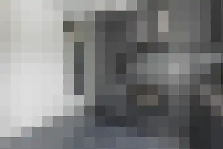 Graan voor Visch 14503 Hoofddorp thumbnail 12