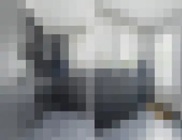 Graan voor Visch 14503 Hoofddorp thumbnail 13
